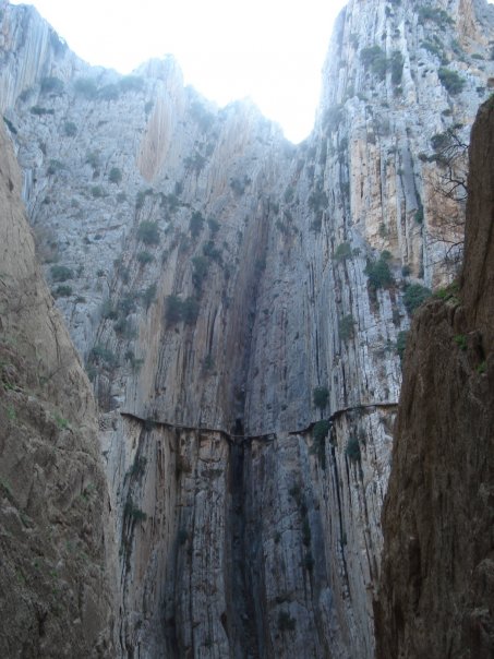 1935943_154249507830_1136400_n