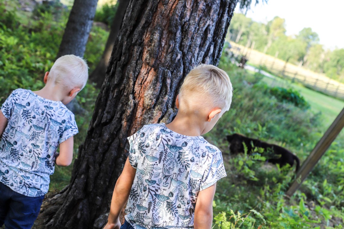 sommar253 (1 av 1)
