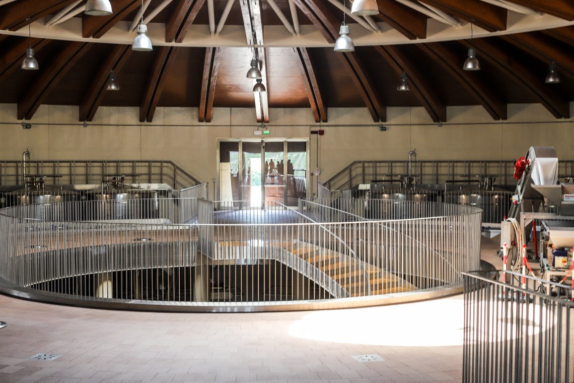 vetulonia116 (1 av 1)