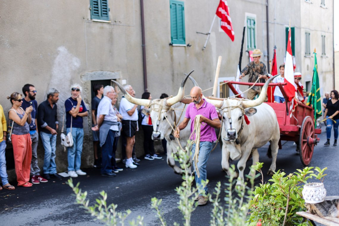 vetulonia30 (1 av 1)