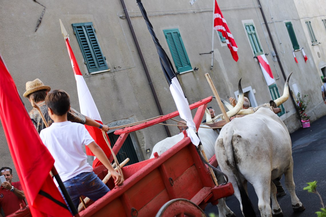 vetulonia33 (1 av 1)