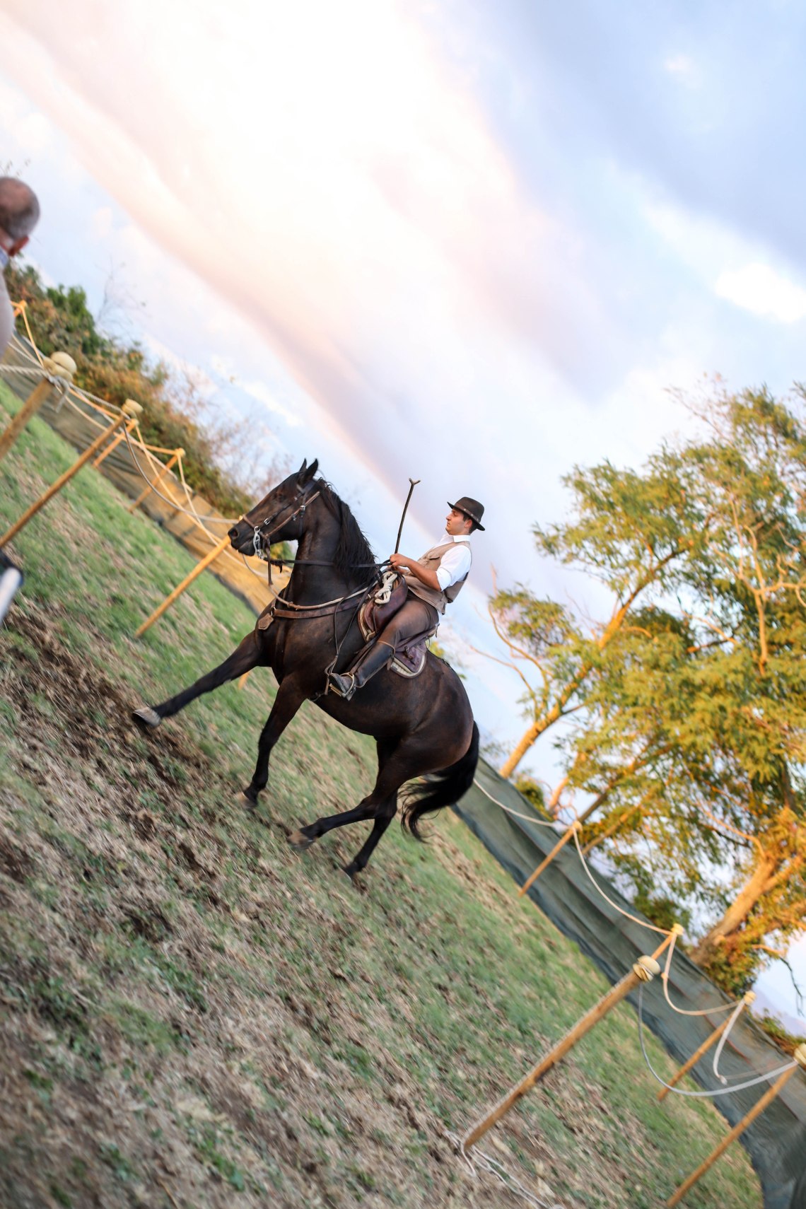 vetulonia60 (1 av 1)