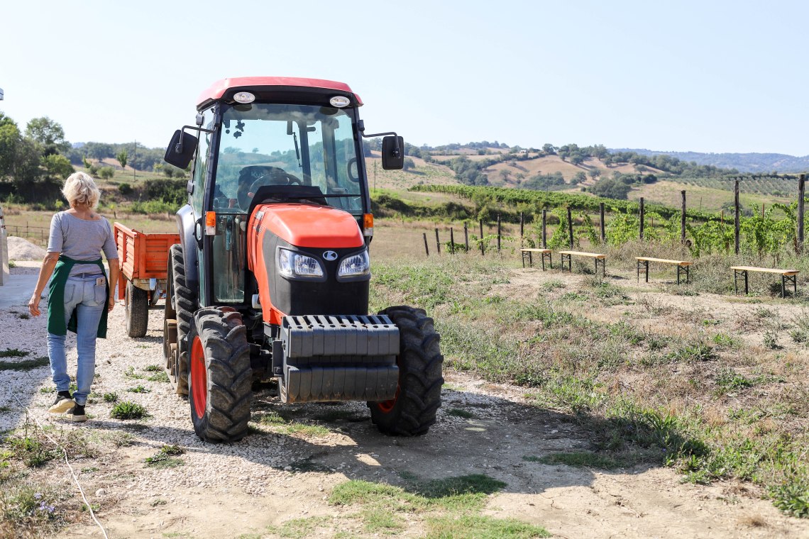 vetulonia75 (1 av 1)