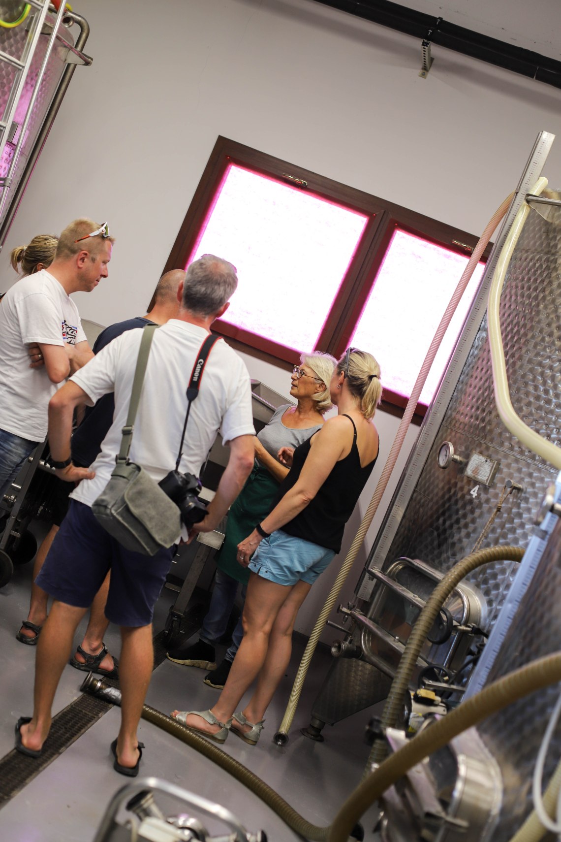 vetulonia77 (1 av 1)