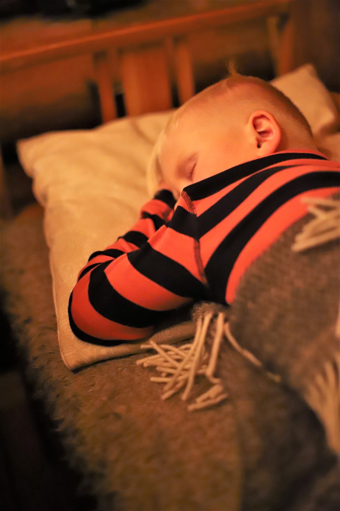 10755574400_IMG_2559