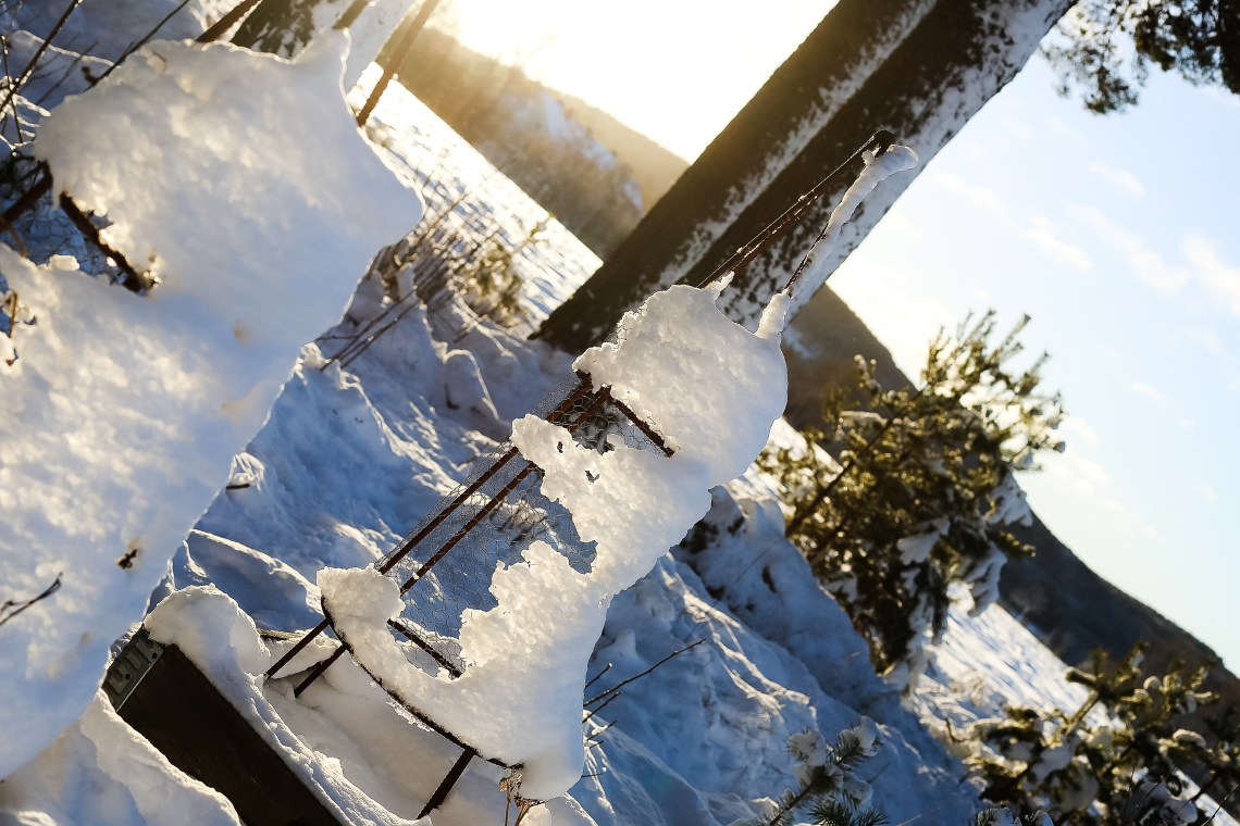 10748034960_img_2634