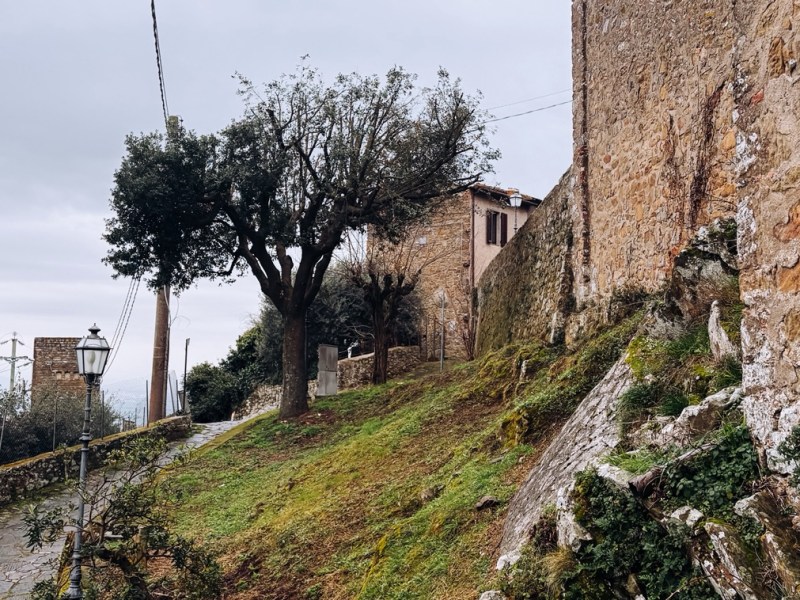 TRÅDAR – SOM MAN BEHÖVER FÖRSÖKA KLIPPA&nbsp;AV